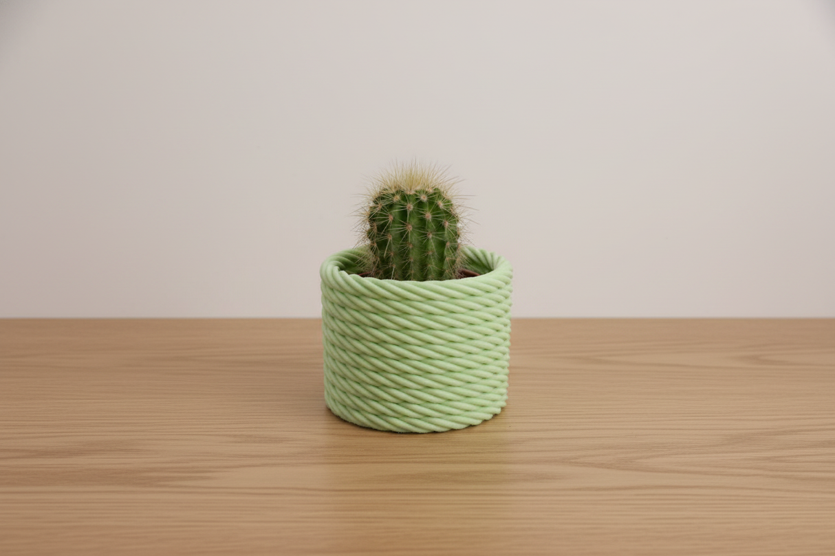 Cactus Vase Green with cactus