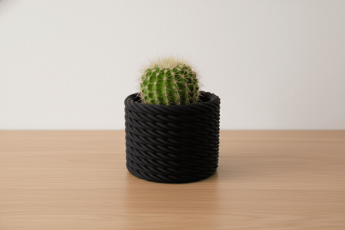 Cactus Vase - NUVIA Home