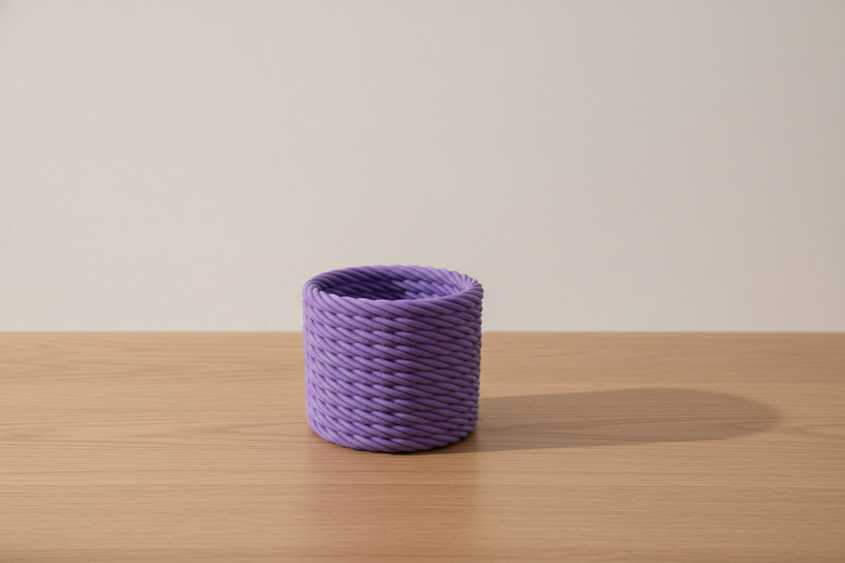 Cactus Vase Purple