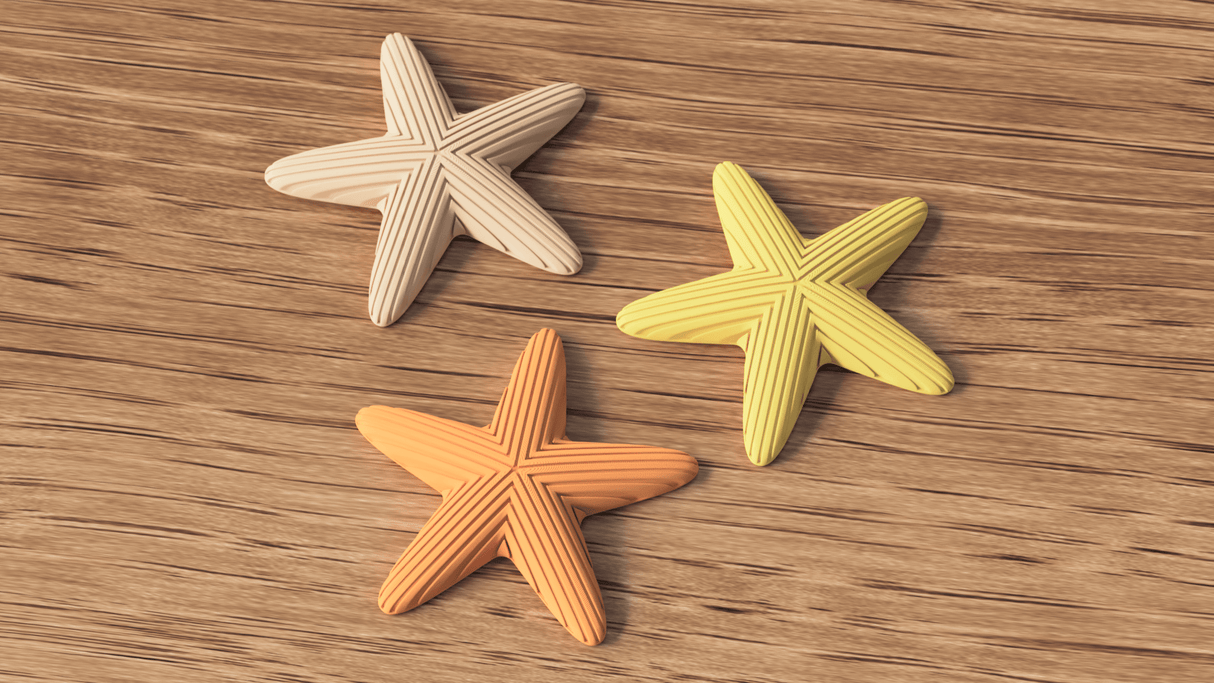 Starfish Decoration - NUVIA Home