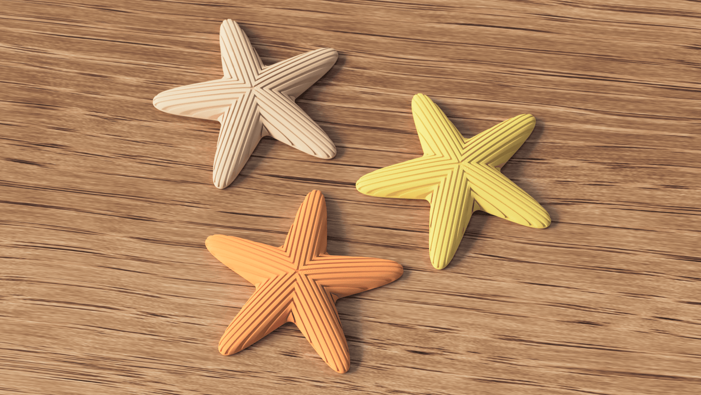 Starfish Decoration - NUVIA Home