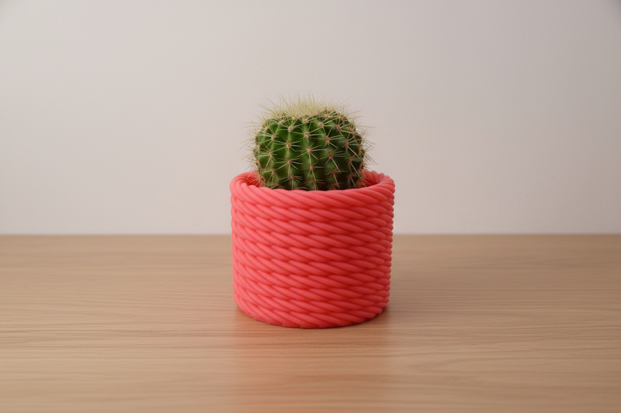 Cactus Vase Pink with cactus
