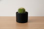 Cactus Vase Black with cactus