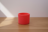 Cactus Vase Pink