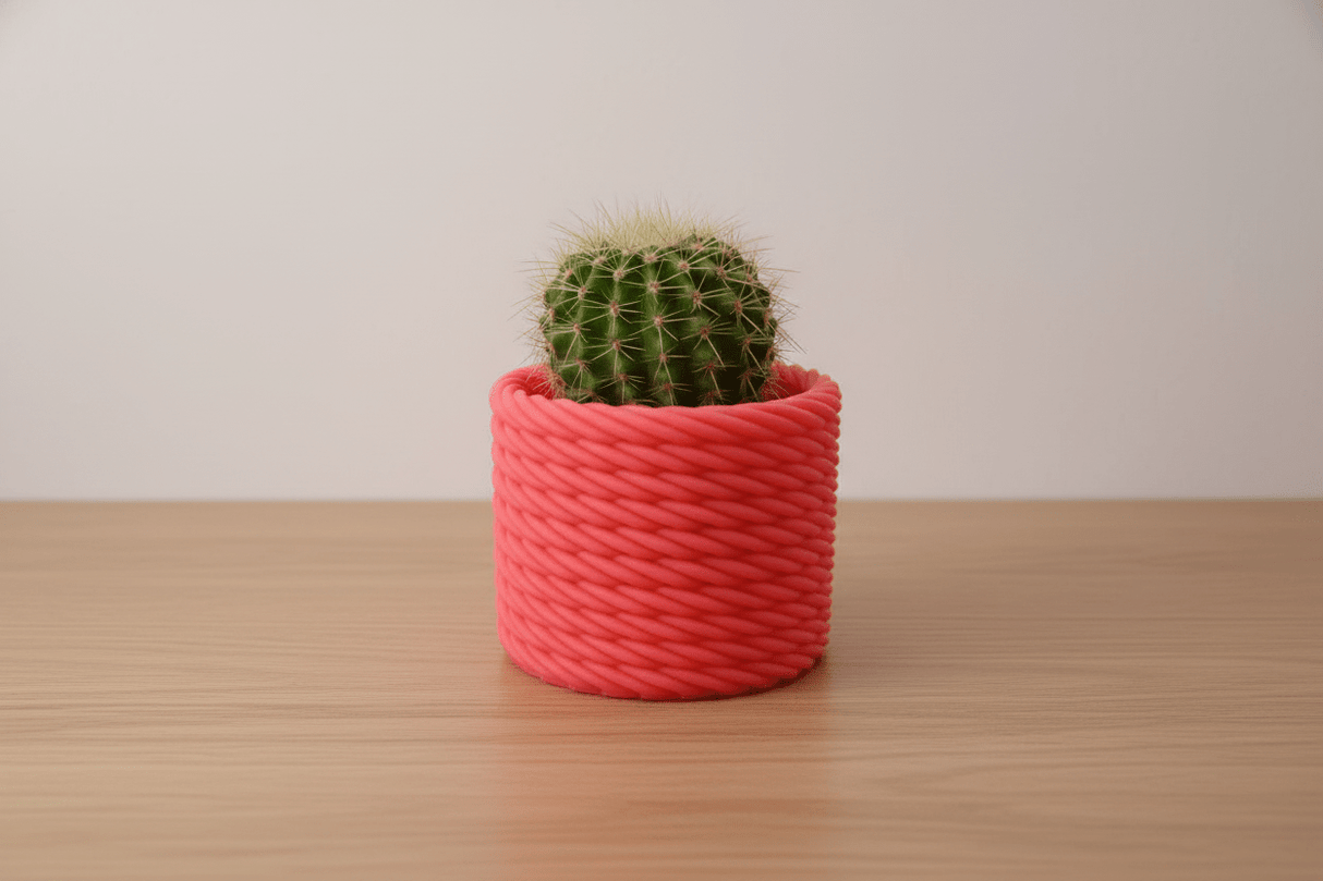 Cactus Vase - NUVIA Home