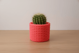Cactus Vase - NUVIA Home