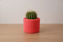 Cactus Vase - NUVIA Home