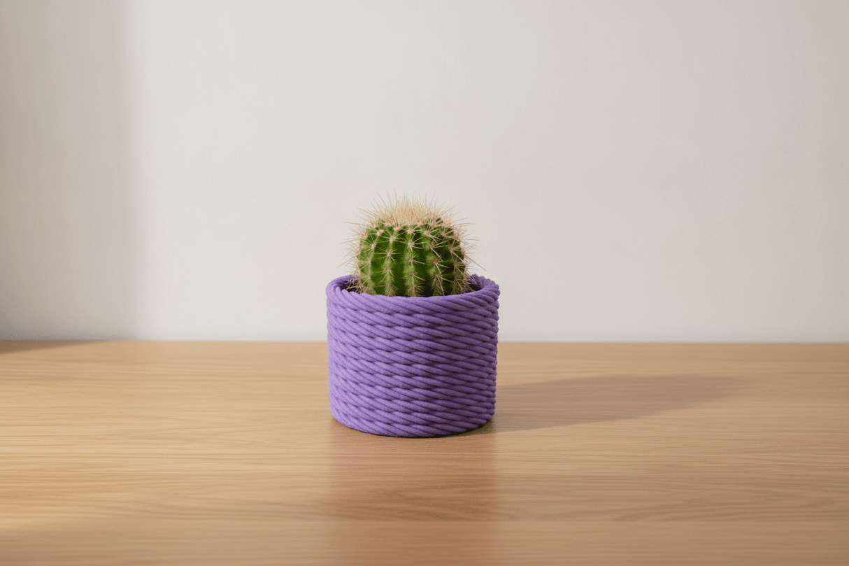 Cactus Vase - NUVIA Home