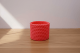 Cactus Vase - NUVIA Home