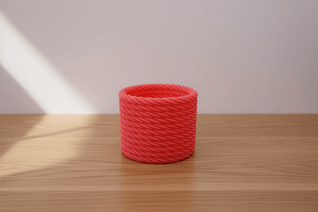 Cactus Vase - NUVIA Home