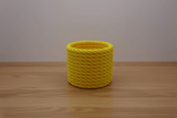 Cactus Vase - NUVIA Home
