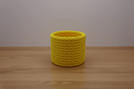 Cactus Vase - NUVIA Home