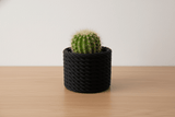 Cactus Vase - NUVIA Home