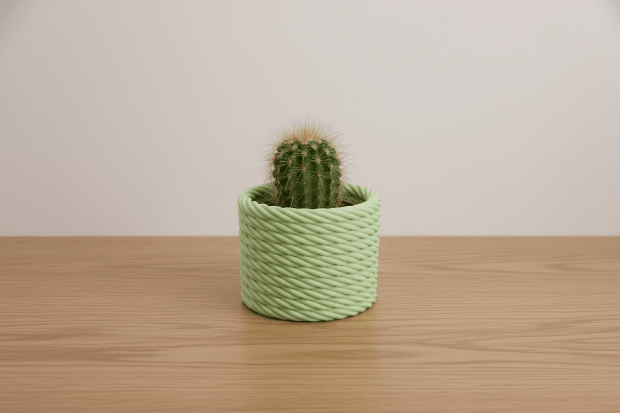 Cactus Vase - NUVIA Home