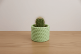 Cactus Vase - NUVIA Home