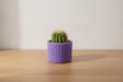 Cactus Vase Purple with cactus