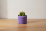 Cactus Vase Purple with cactus