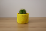 Cactus Vase Yellow with cactus