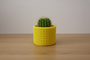 Cactus Vase Yellow with cactus