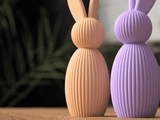 Easter Bunny - NUVIA Home