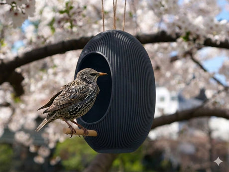 Japandi Bird Feeder - NUVIA Home