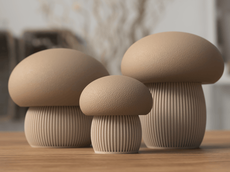 Japandi mushrooms - NUVIA Home