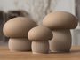 Japandi mushrooms - NUVIA Home