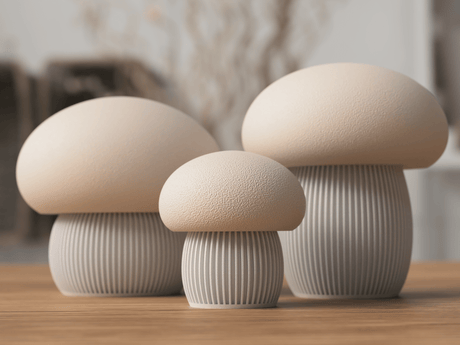 Japandi mushrooms - NUVIA Home