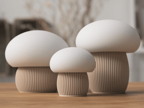 Japandi mushrooms - NUVIA Home