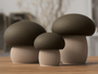 Japandi mushrooms - NUVIA Home