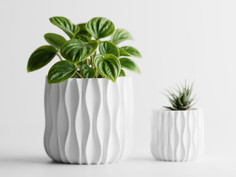 Modu Pot - NUVIA Home