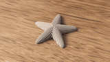 Starfish Decoration - NUVIA Home