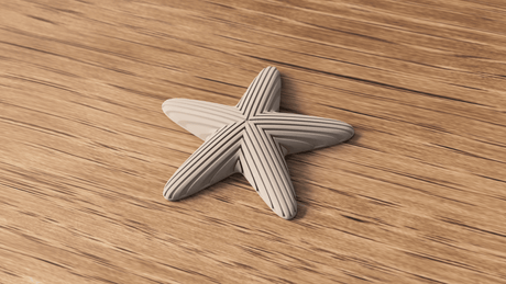 Starfish Decoration - NUVIA Home