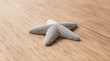 Starfish Decoration - NUVIA Home