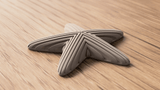 Starfish Decoration - NUVIA Home