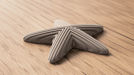 Starfish Decoration - NUVIA Home