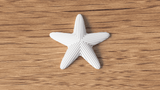 Starfish Decoration - NUVIA Home