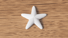 Starfish Decoration - NUVIA Home