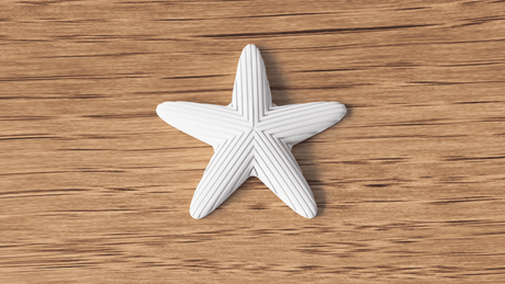 Starfish Decoration - NUVIA Home