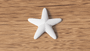 Starfish Decoration - NUVIA Home