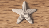 Starfish Decoration - NUVIA Home
