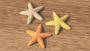 Starfish Decoration - NUVIA Home