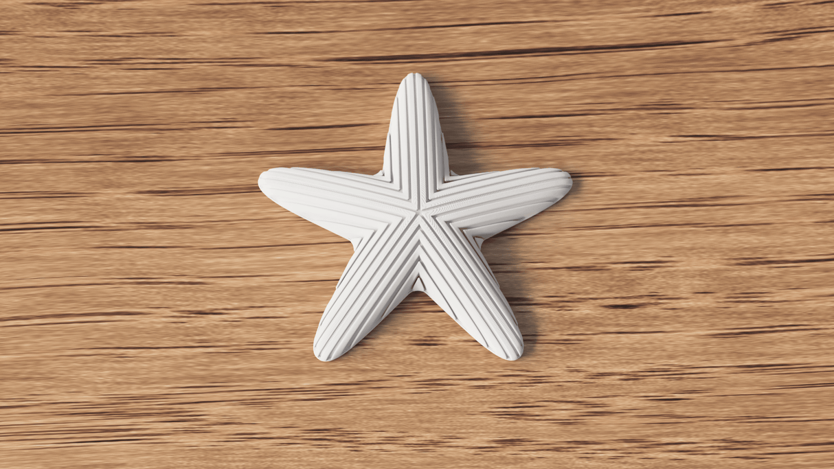 Starfish Decoration - NUVIA Home