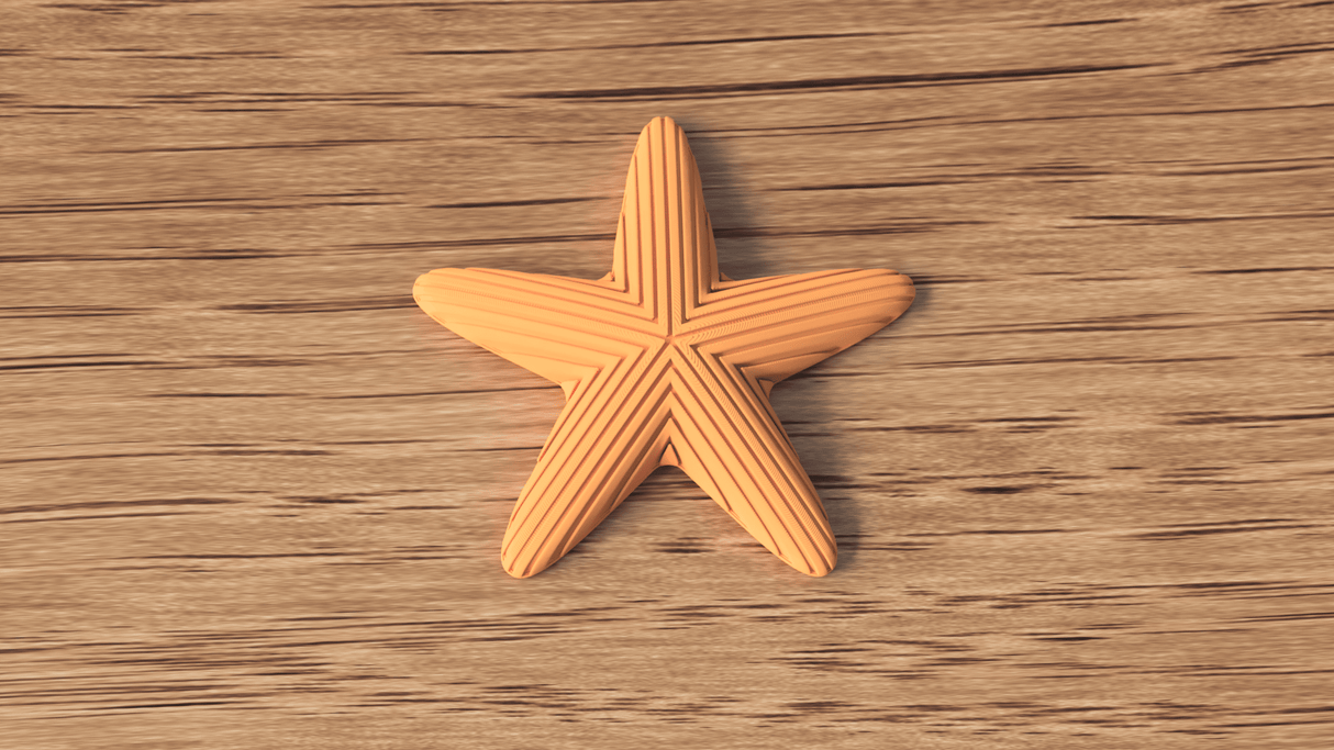 Starfish Decoration - NUVIA Home